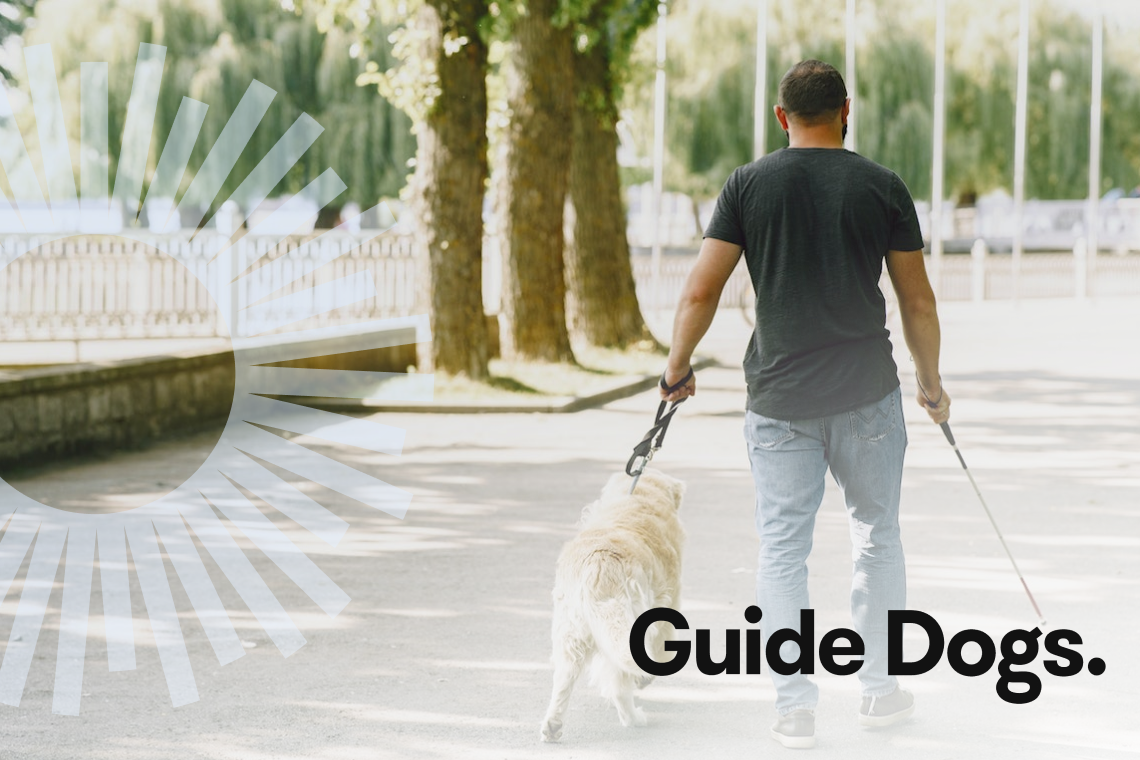 A man strolls with a guide dog on a sunlit path lined with trees. Text overlay reads "Guide Dogs: Companions on the Journey.