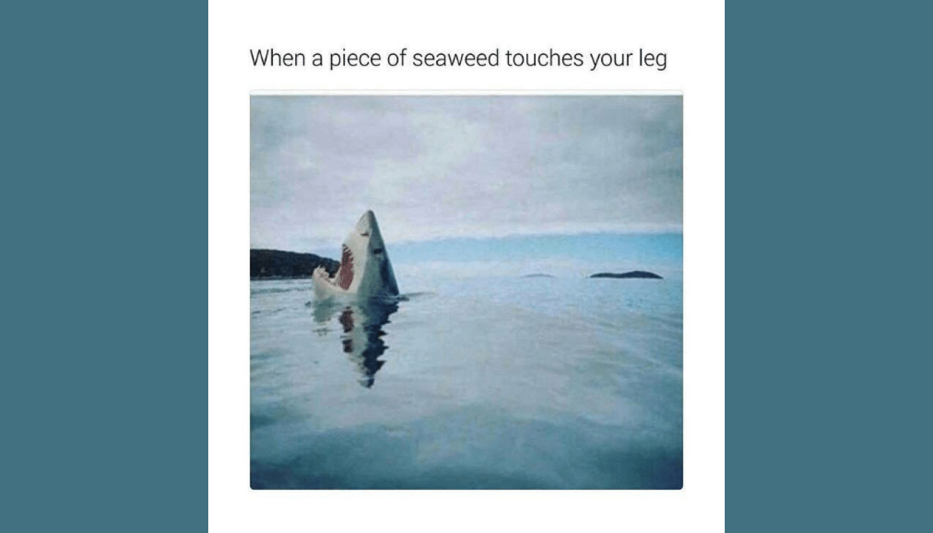 A shark fin breaks the surface, mouth open wide, with the text "When a piece of seaweed touches your leg—sometimes it's just a harmless drift.