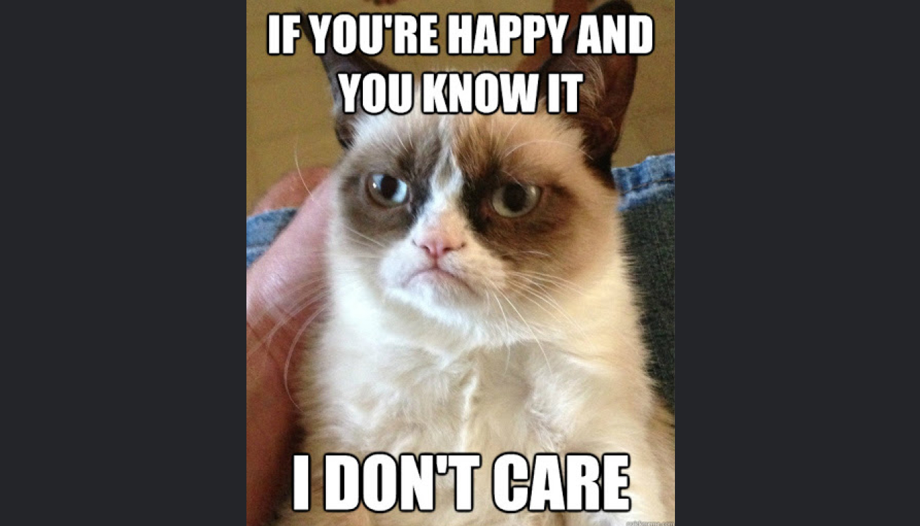 Grumpy cat being held, with text: "If you're happy and you know it, I don't care." The feline’s trademark scowl captures that timeless vibe of not giving a hoot.