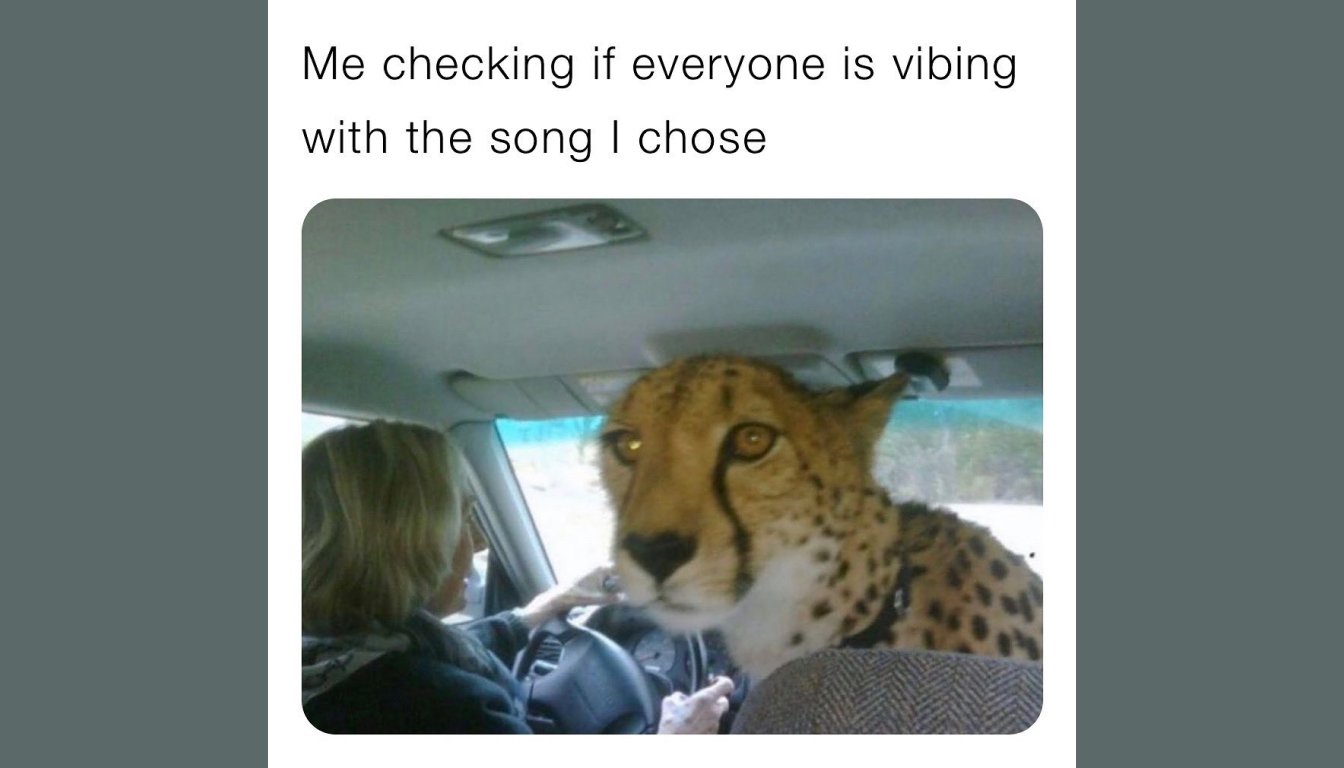 A cheetah in the backseat of a car peers ahead, with a woman in the driver's seat. Text above reads, "Me checking if everyone is vibing with the song I chose." The scene captures a sense of adventure and spontaneity.