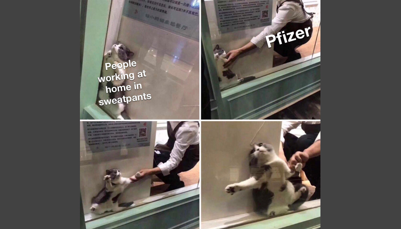 A person attempts to coax a cat labeled "People working at home in sweatpants" through a glass wall marked "Pfizer." The cat resists, playfully clinging to the wall, embodying the challenges of embracing change.