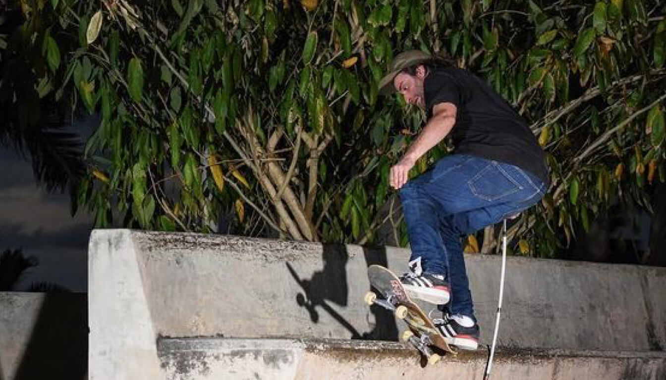 A skateboarder executes a trick on a concrete ledge with leafy trees forming a shadowy backdrop under the moonlit sky.