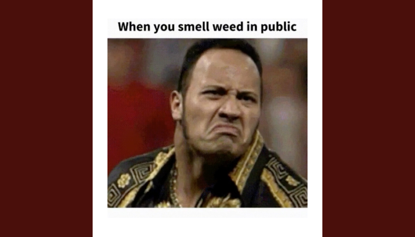 A man with a disgusted facial expression, donning a patterned shirt, stands beneath the text: "When you smell weed in public." The scene captures the relatable moment of unexpected encounters.