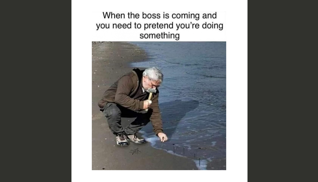 Man crouching at the water's edge, pretending to inspect something with a book in hand. Text above reads: "When the boss is on their way and you need to look busy.